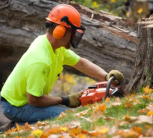 tree services Lake Charles